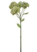 16" Sedum Stem