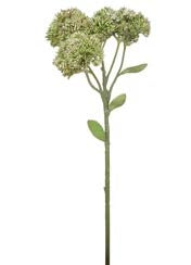 16" Sedum Stem