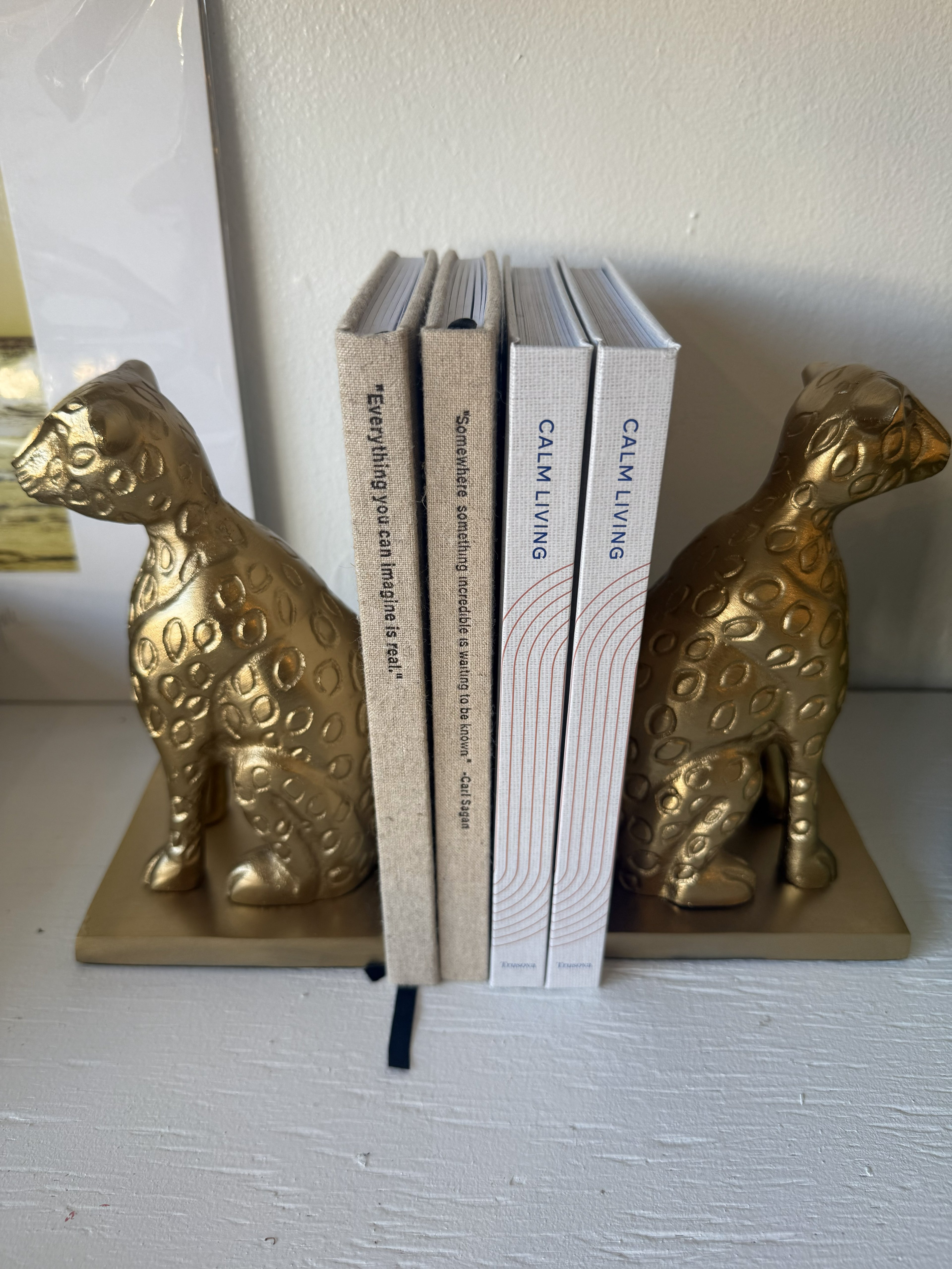 Cheetah Bookends