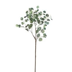 64" Eucalyptus Stem