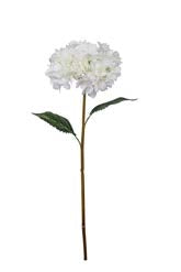 26.5" Cream Hydrangea