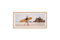 Blurred Surfer