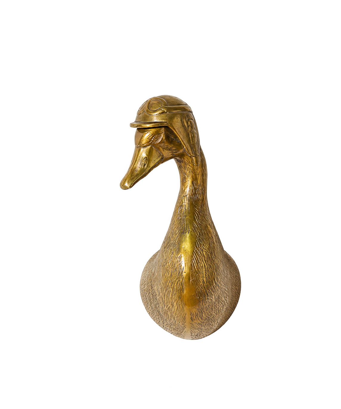 Charlie the Duck