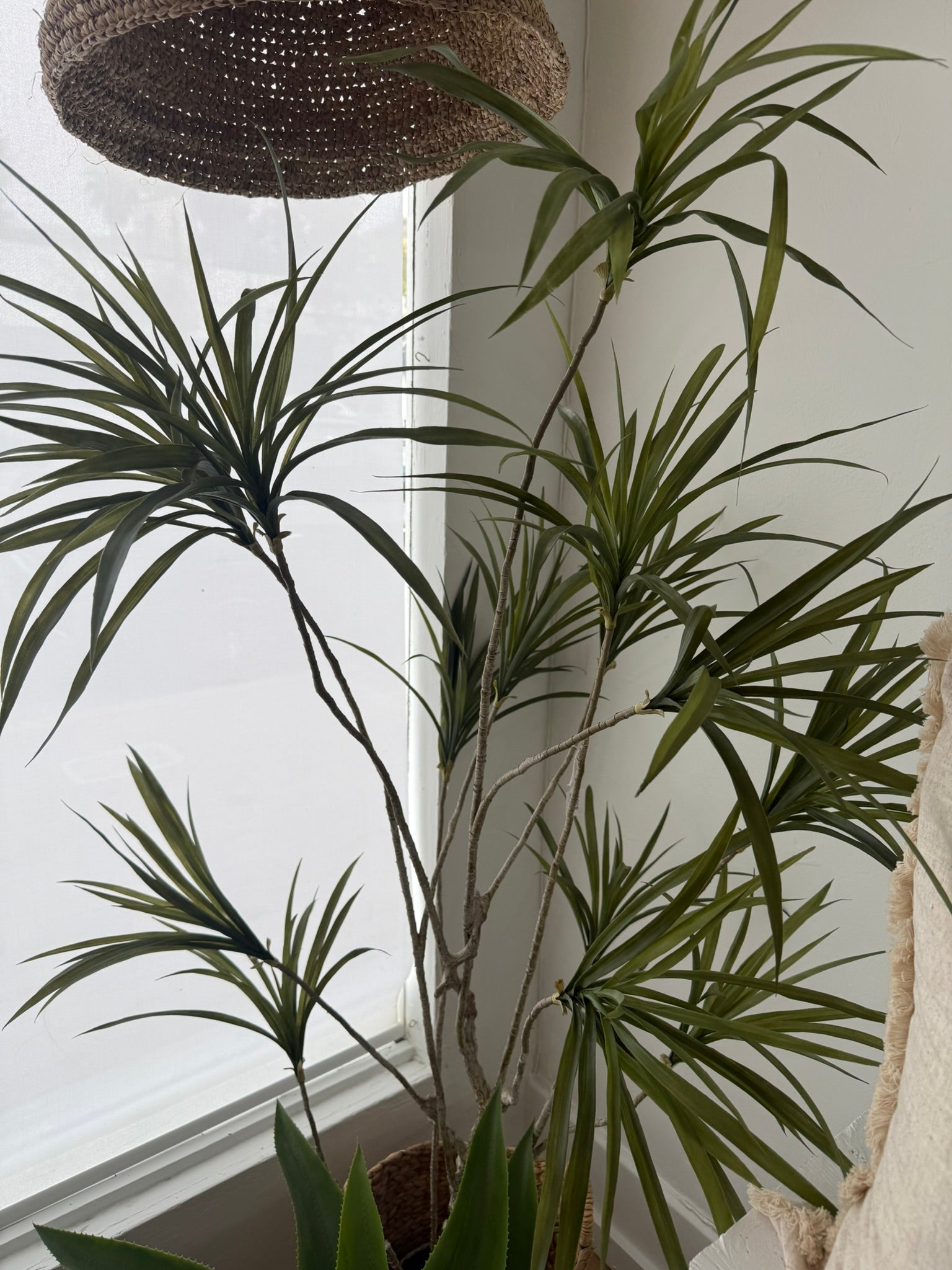 Artificial Dracaena