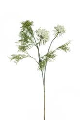 31" Queen Anne's Lace