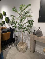 7' Shady Lady Antique Planter