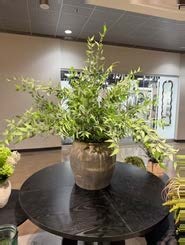 14" Vintage Clay Pot w/Italian Ruscus